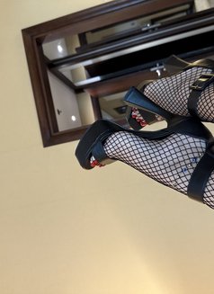 ❣️ sexy MILENA independent 🫦❣️ - puta in Dubai Photo 11 of 12