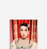 Sexy Model Dustu_Roy - Acompañantes transexual in Kolkata