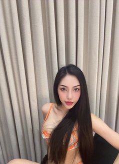 Sexy model young Last week in Riyadh - Transsexual escort in Riyadh Photo 9 of 10