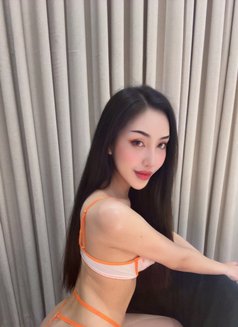 Sexy model young Last week in Riyadh - Transsexual escort in Riyadh Photo 10 of 10