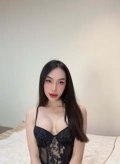 Sexy model young available - Acompañantes transexual in Abu Dhabi Photo 1 of 10