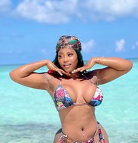 Sexy Molly - escort in Doha