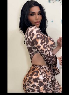 Sexy Nicolitta - Transsexual escort in Beirut Photo 26 of 28