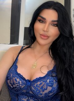 Sexy Nicolitta - Acompañantes transexual in Beirut Photo 29 of 30