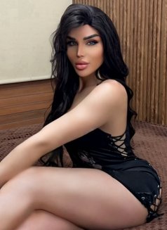 Sexy Nicolitta - Acompañantes transexual in Beirut Photo 30 of 30