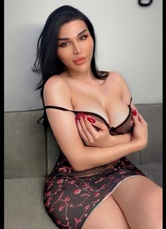 Sexy Nicolitta - Acompañantes transexual in Beirut Photo 30 of 30