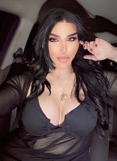 Sexy Nicolitta - Transsexual escort in Beirut Photo 29 of 30