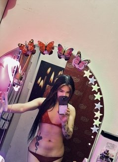 Sexy-PARIS - Transsexual escort in Abu Dhabi Photo 25 of 28