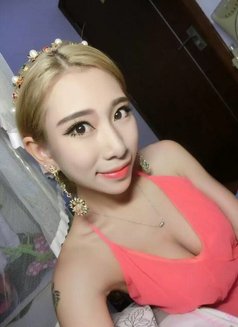 Sexy passionated girl Annie - escort in Singapore Photo 3 of 5