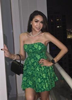 Sexy porn star in Bahrain 🇧🇭 - Transsexual escort in Al Manama Photo 9 of 24