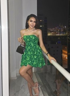 Sexy porn star in Bahrain 🇧🇭 - Transsexual escort in Al Manama Photo 14 of 22