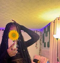 Sexyviramessagedmeontelegram@shemale1233 - Transsexual escort in Beirut