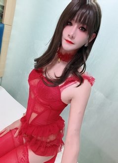 Sexy Qiqi - Transsexual escort in Hong Kong Photo 2 of 6