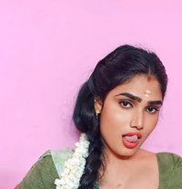 Sexy Queen Vanitha 24 Thiruverkadu - Transsexual escort in Chennai