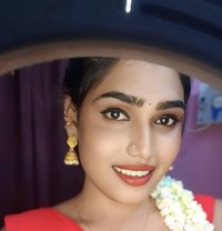 Sexy Queen Vanitha 25 Ashoknagar - Transsexual escort in Chennai
