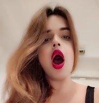 Sexy Saniya - Transsexual companion in Udaipur