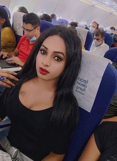Sexy Sarah - Transsexual escort in New Delhi Photo 3 of 25