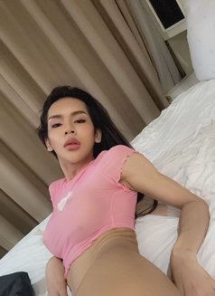 Sexy Shemale in bangkok - Transsexual escort in Bangkok Photo 7 of 12