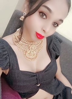 Sexy Shemale Mallu - Transsexual escort in Chennai Photo 6 of 6