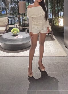 Sexy Singaporean Rosy - escort in Singapore Photo 3 of 3