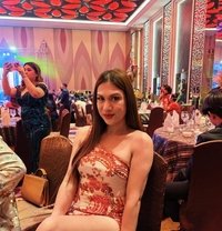 Sexy Sofia23 - Transsexual escort in Pampanga