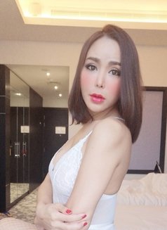 Vivien Sexy Thai TS - Transsexual escort in Kuala Lumpur Photo 8 of 10