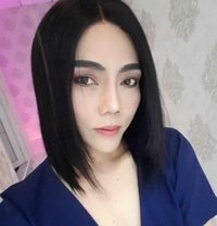 Sexy Thailadyboy - Transsexual escort in Al Ain