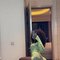 Sexy Thing - escort in Guangzhou