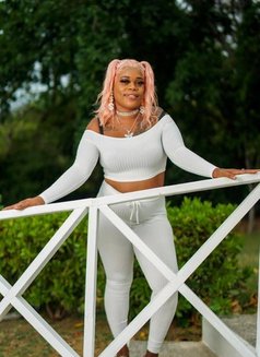 Sexy toya THICKAZ - escort agency in Barbados Photo 6 of 26
