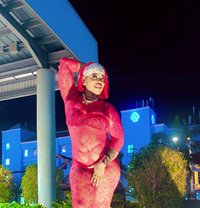 Sexy toya THICKAZ - escort agency in Barbados