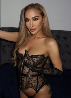 Sexy TS Thai mix Venezuela available now - Transsexual escort in Dubai Photo 29 of 30