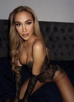 Sexy TS Thai mix Venezuela available now - Transsexual escort in Dubai Photo 30 of 30