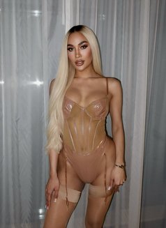 Sexy TS Thai mix Venezuela available now - Transsexual escort in Abu Dhabi Photo 8 of 30