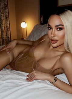 Sexy TS Thai mix Venezuela available now - Transsexual escort in Abu Dhabi Photo 11 of 30