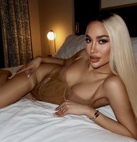 Sexy TS Thai mix Venezuela available now - Acompañantes transexual in Abu Dhabi
