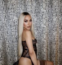 Sexy TS Thai mix Venezuela available now - Transsexual escort in Dubai