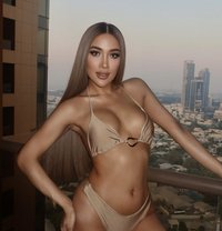 Sexy TS Thai mix Venezuela available now - Acompañantes transexual in Dubai Photo 30 of 30