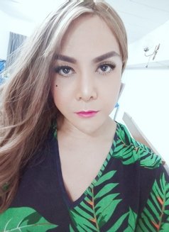 Sexycoconutbkk - Transsexual escort in Bangkok Photo 13 of 13