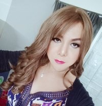 Sexycoconutbkk - Acompañantes transexual in Bangkok