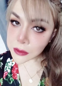 Sexycoconutbkk - Acompañantes transexual in Bangkok Photo 13 of 14