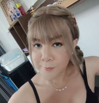 Sexycoconutbkk - Acompañantes transexual in Bangkok