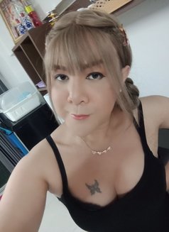 Sexycoconutbkk - Transsexual escort in Bangkok Photo 9 of 9