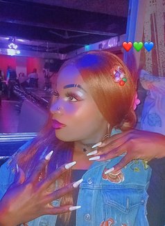 Sexydiamond - Transsexual escort in Nairobi Photo 11 of 15