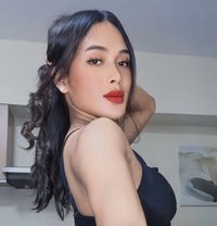 Sexyabbyy - Acompañantes transexual in Boracay