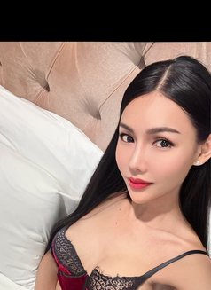 Sexyjenny24🇹🇭 - Transsexual escort in Phuket Photo 22 of 29