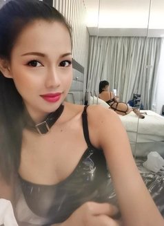 Sexyjenny24 - Transsexual escort in Phuket Photo 18 of 21