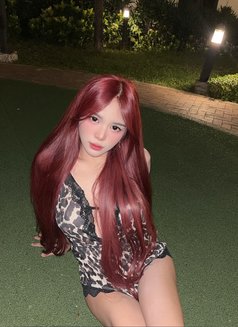 Sexykath - Transsexual escort in Manila Photo 3 of 7