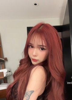 Sexykath - Transsexual escort in Manila Photo 9 of 12