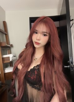 Sexykath - Transsexual escort in Manila Photo 8 of 12