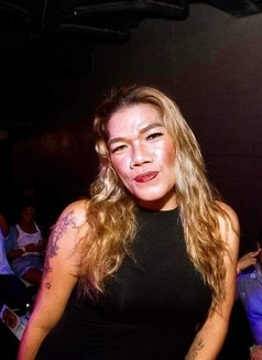Sexylady - Male escort in Cebu City Photo 1 of 1